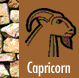 Capricorn